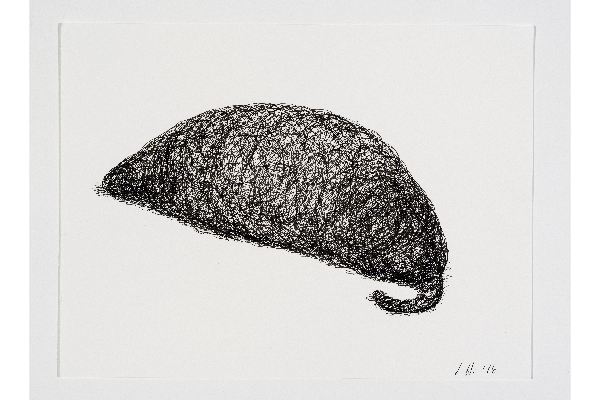 Drawn into Life XVII, ink on Canson Bristol, 12x9 in.